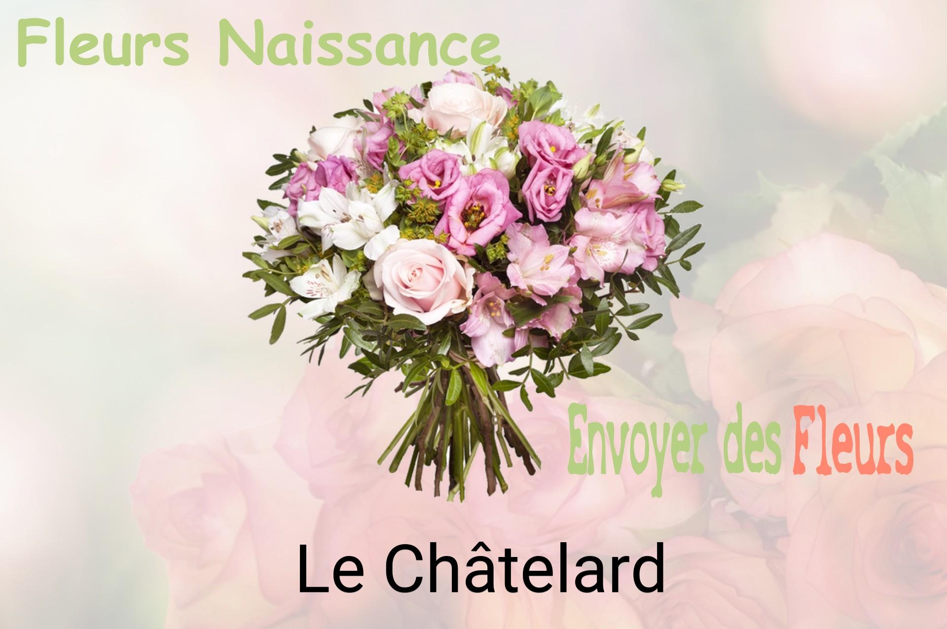 Bouquet de fleurs de naissance livré à Le Châtelard